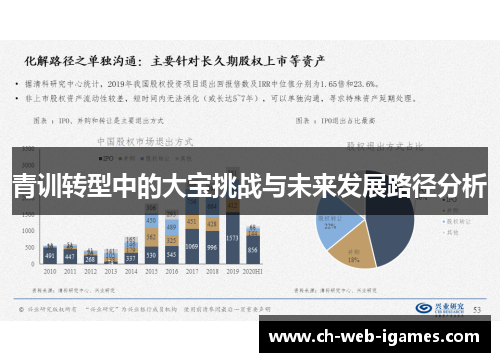 青训转型中的大宝挑战与未来发展路径分析